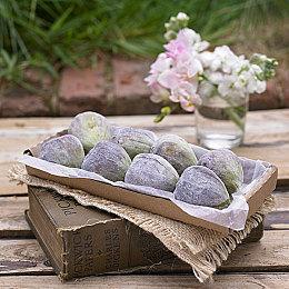 《谁闭了马克斯叔叔的麦》Steam获特别好评